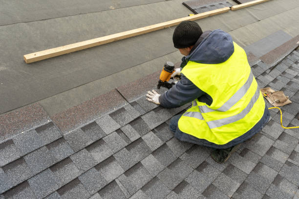 Best Metal Roofing Contractor  in St Charles, MN