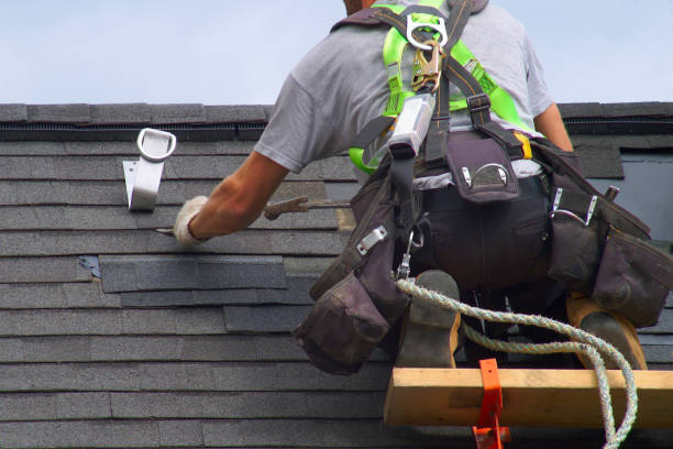 Professional Roofing Contractor in St Charles, MN