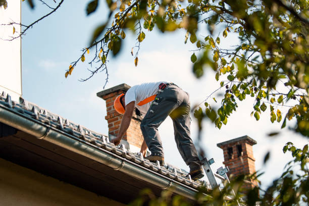 Roof Gutter Cleaning in St Charles, MN
