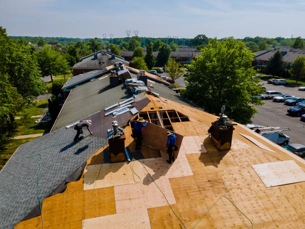 Roof Waterproofing Services in St Charles, MN