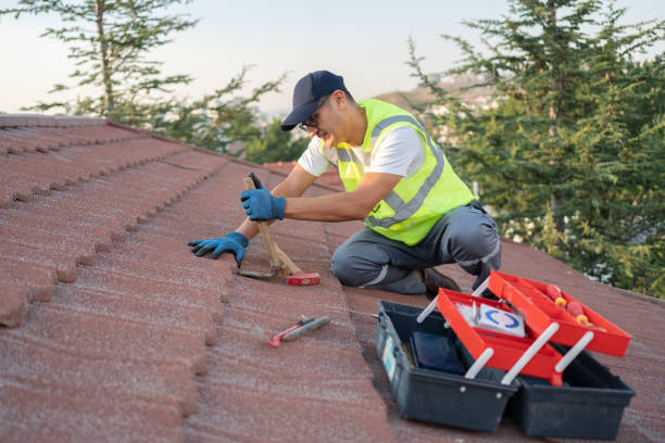Best Storm Damage Roof Repair  in St Charles, MN