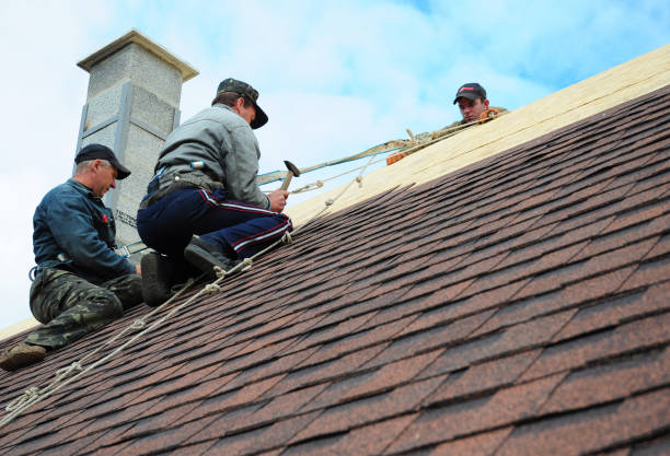 Best Shingle Roofing Installation  in St Charles, MN