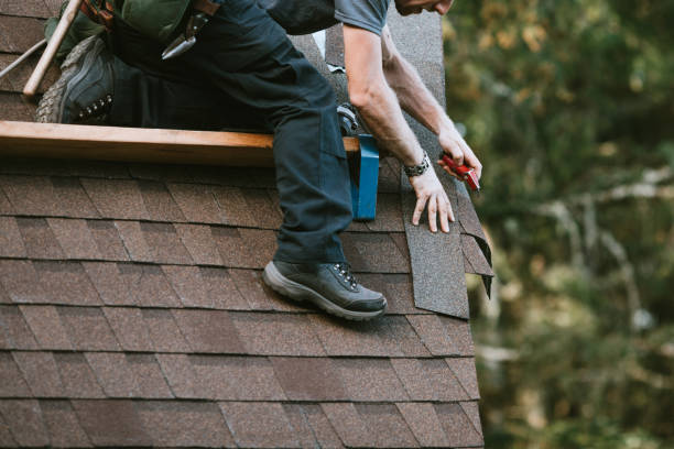Best Roof Maintenance Services  in St Charles, MN