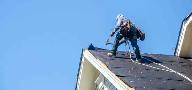 Best Roof Waterproofing Services  in St Charles, MN